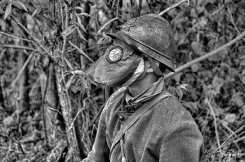 A.Passchendaele themaw. (26)
